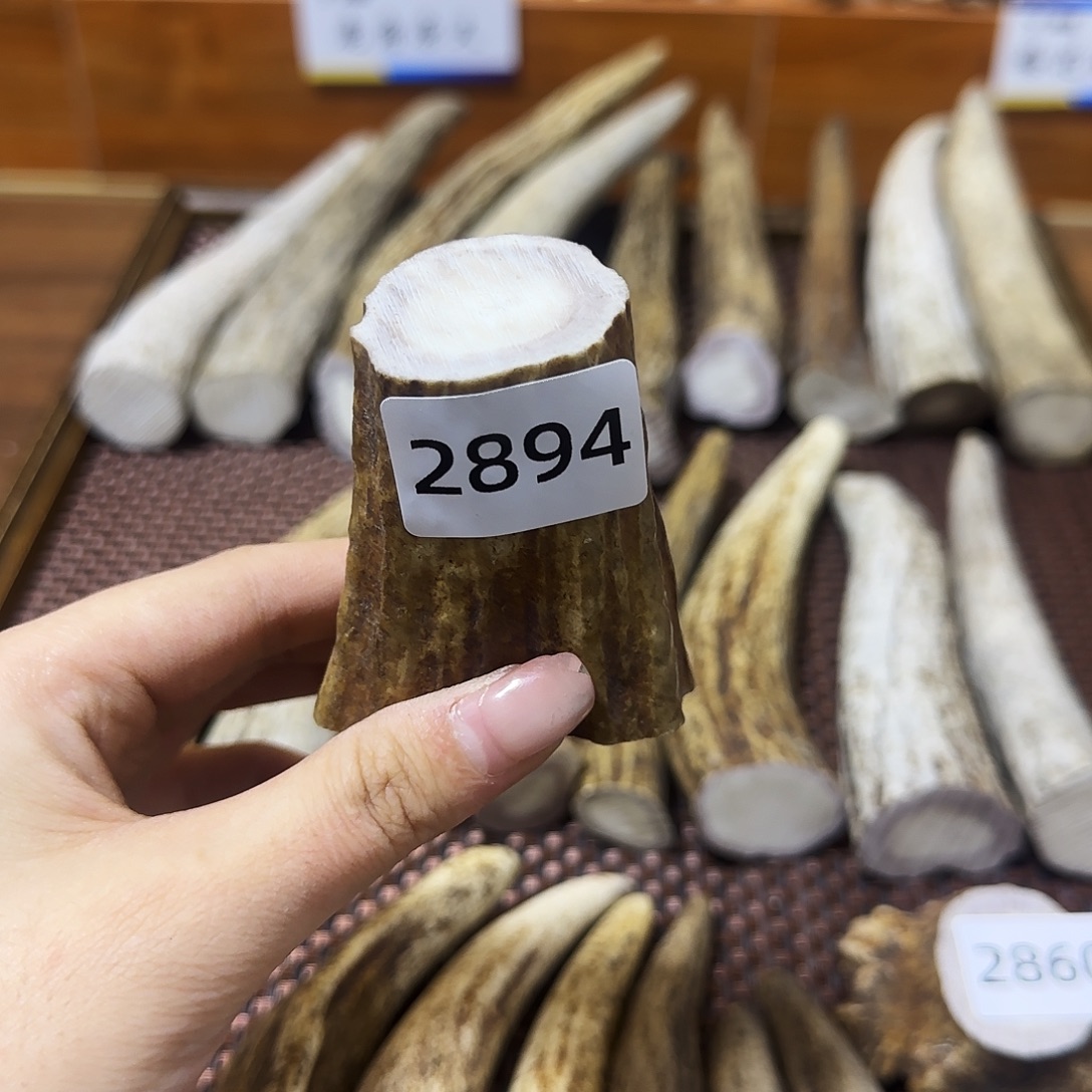 手串/手链鹿骨中段2894