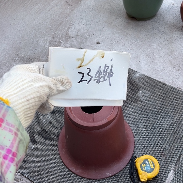 花盆紫砂88888888888888888