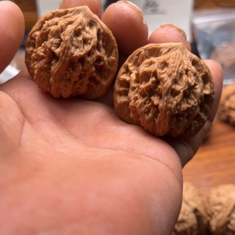 文玩核桃把件麦穗