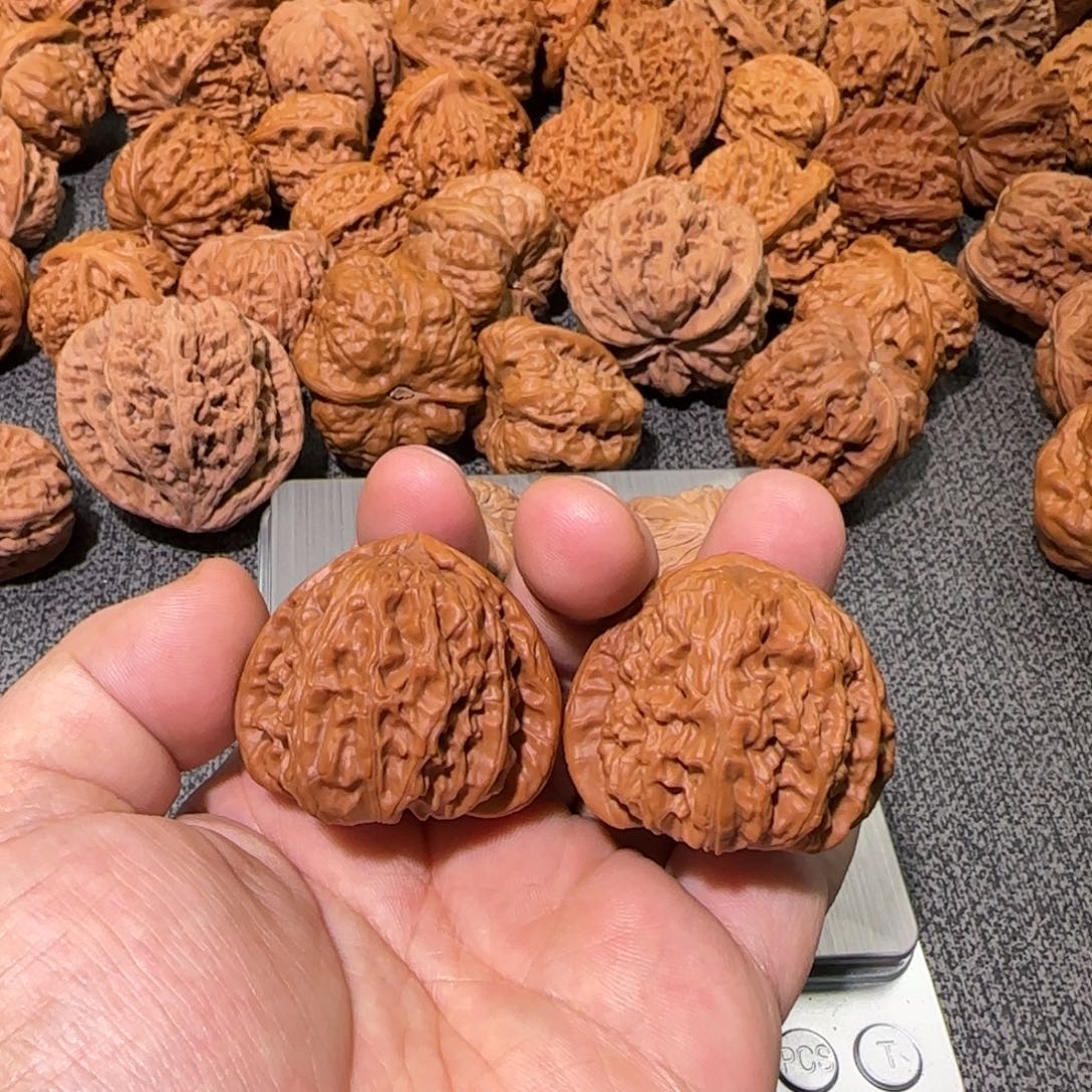 文玩核桃把件40白狮子