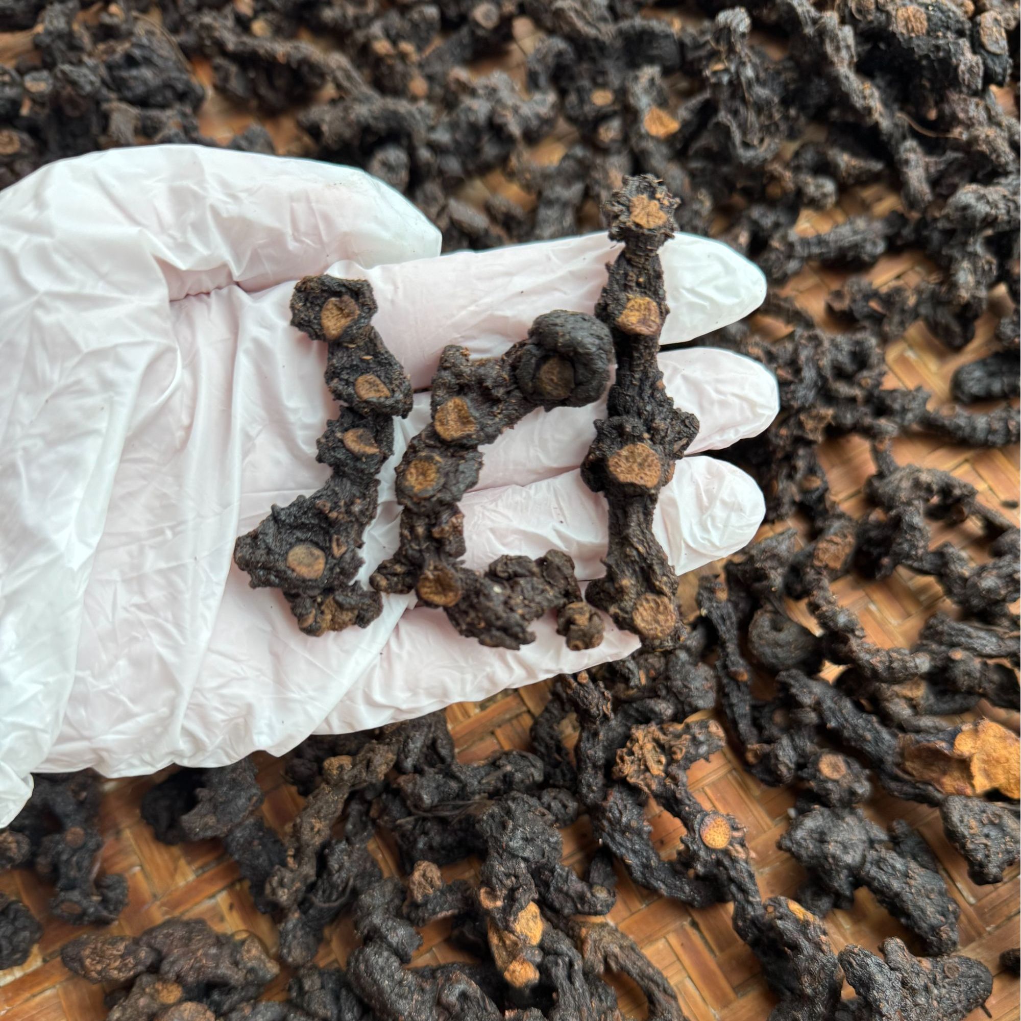 野生山货九蒸九晒黄 精仙人余粮黄精膏老虎姜