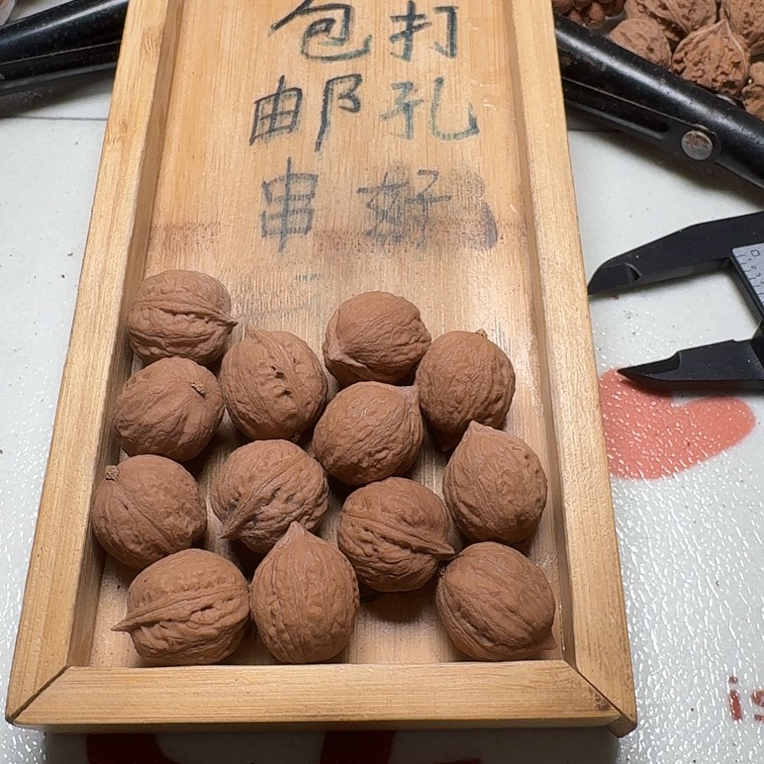 核桃手串/手链36号边20肚22高23
