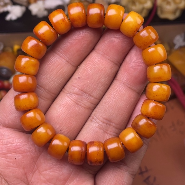 驼骨其他人工养殖