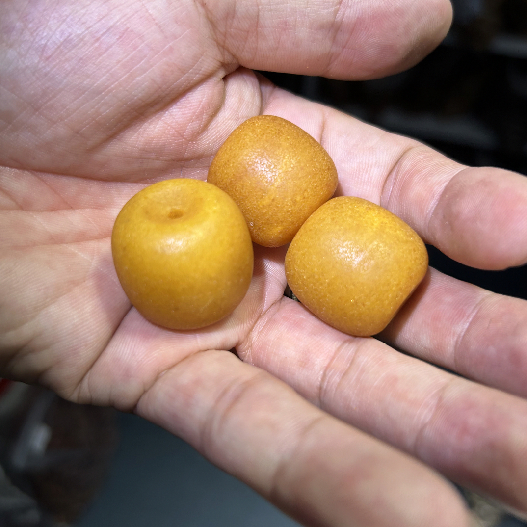 欧回桶珠多样发其一