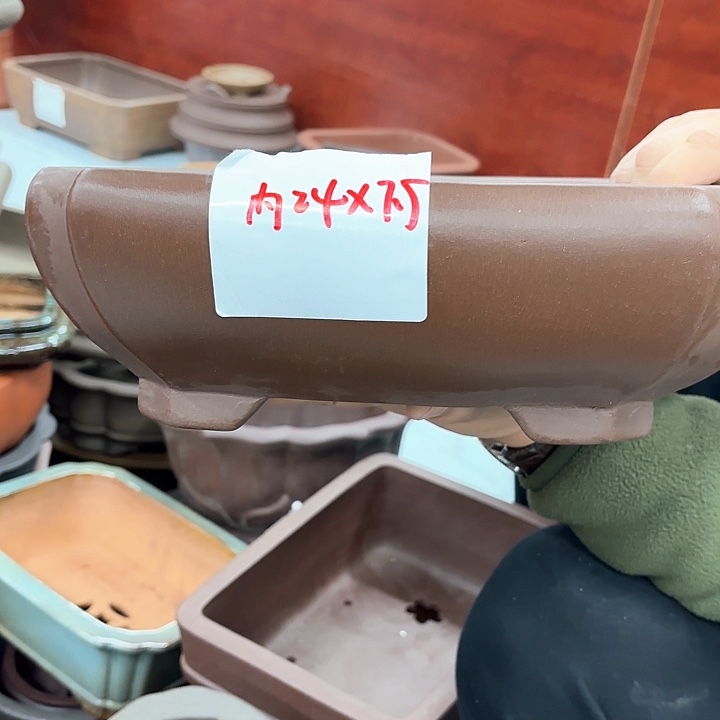 紫砂花盆紫砂的花也太美