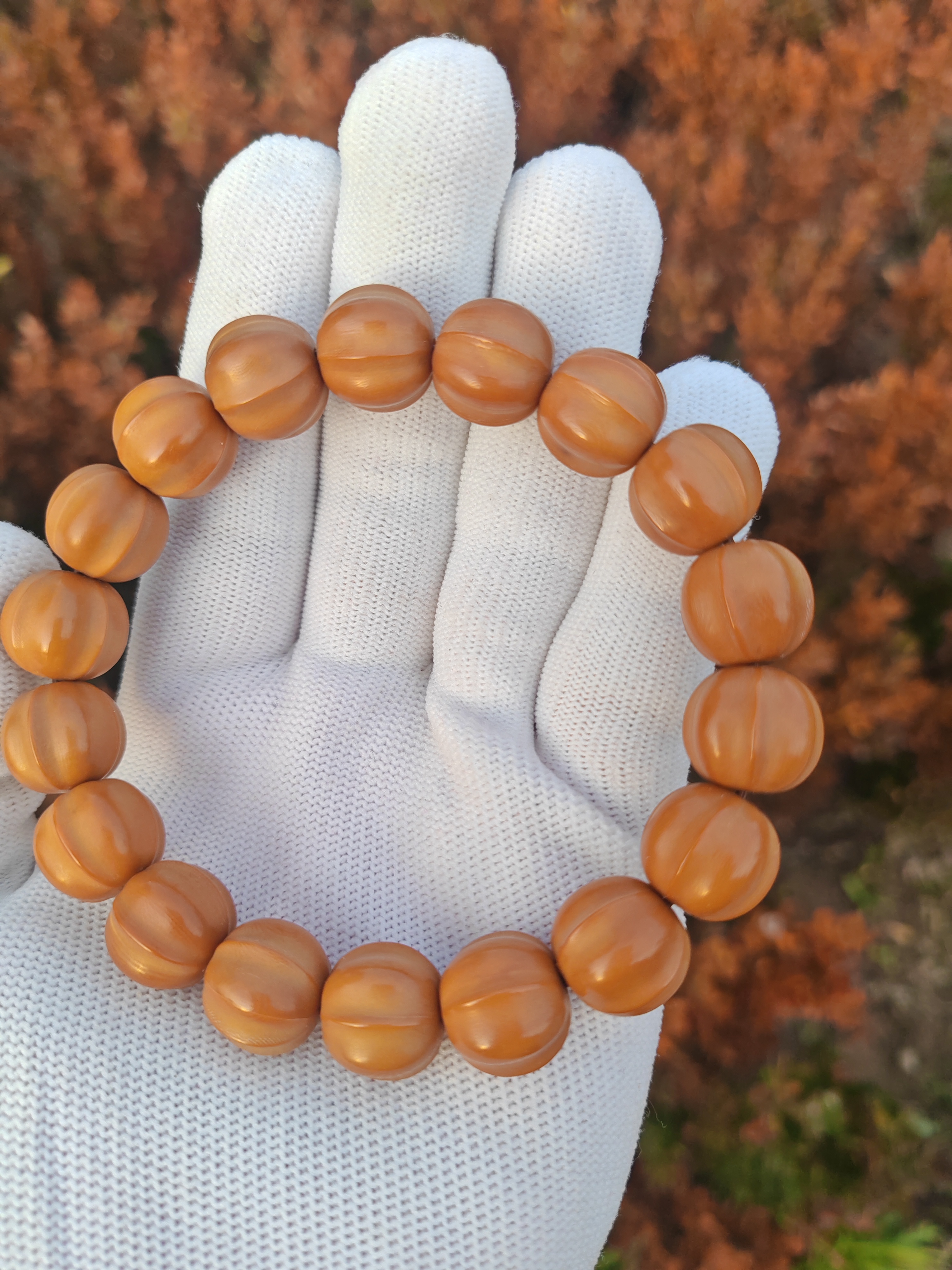  四花鲨鱼14+猴头核桃二等微瑕