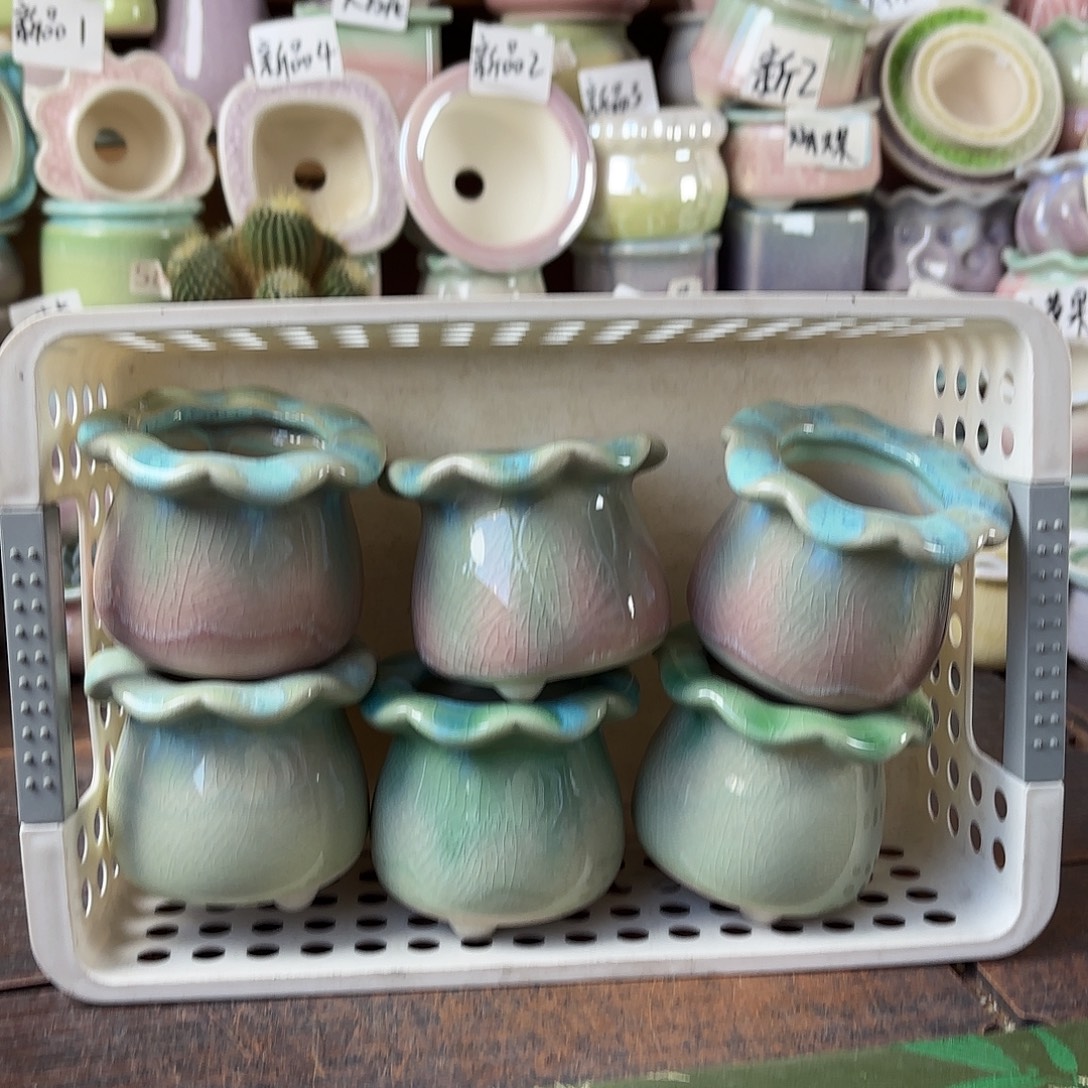 量货/4.5口高6.5深浅搭配发6福利