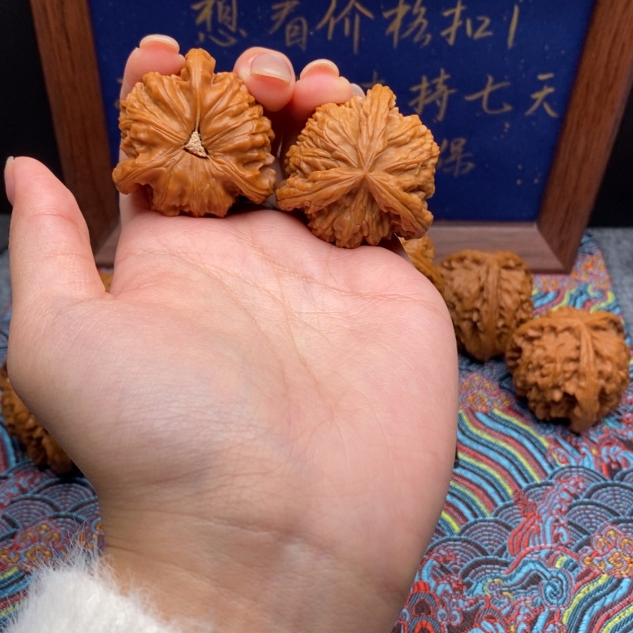 【闪购商品】︶****ゝ白狮