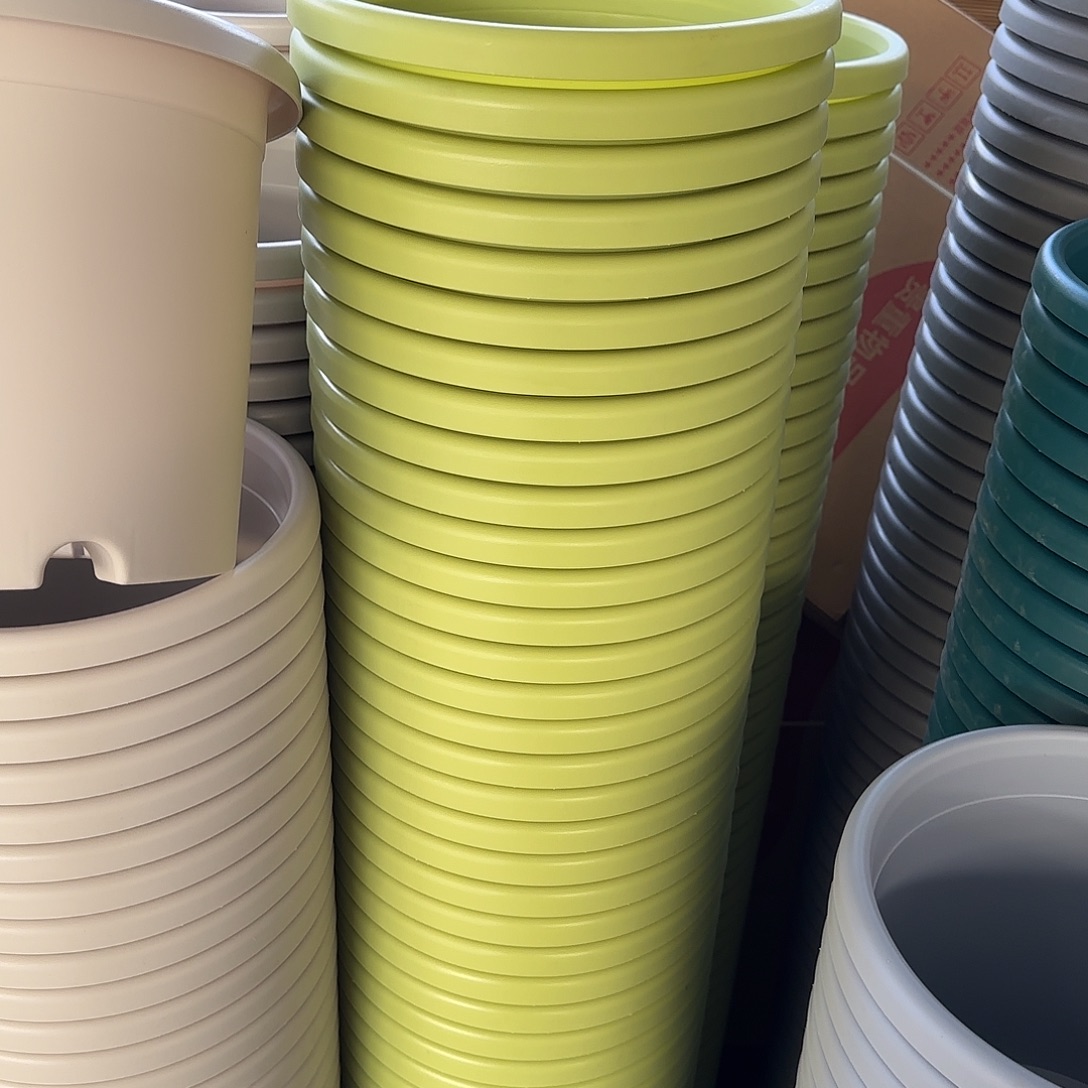 微瑕4号5个无托，果绿