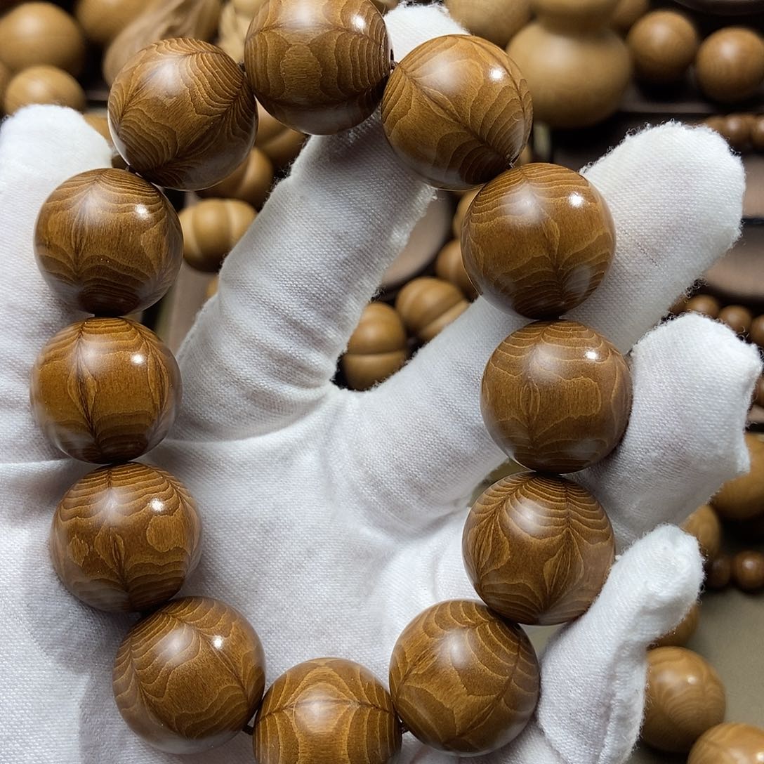 专***青六道木山西五台山