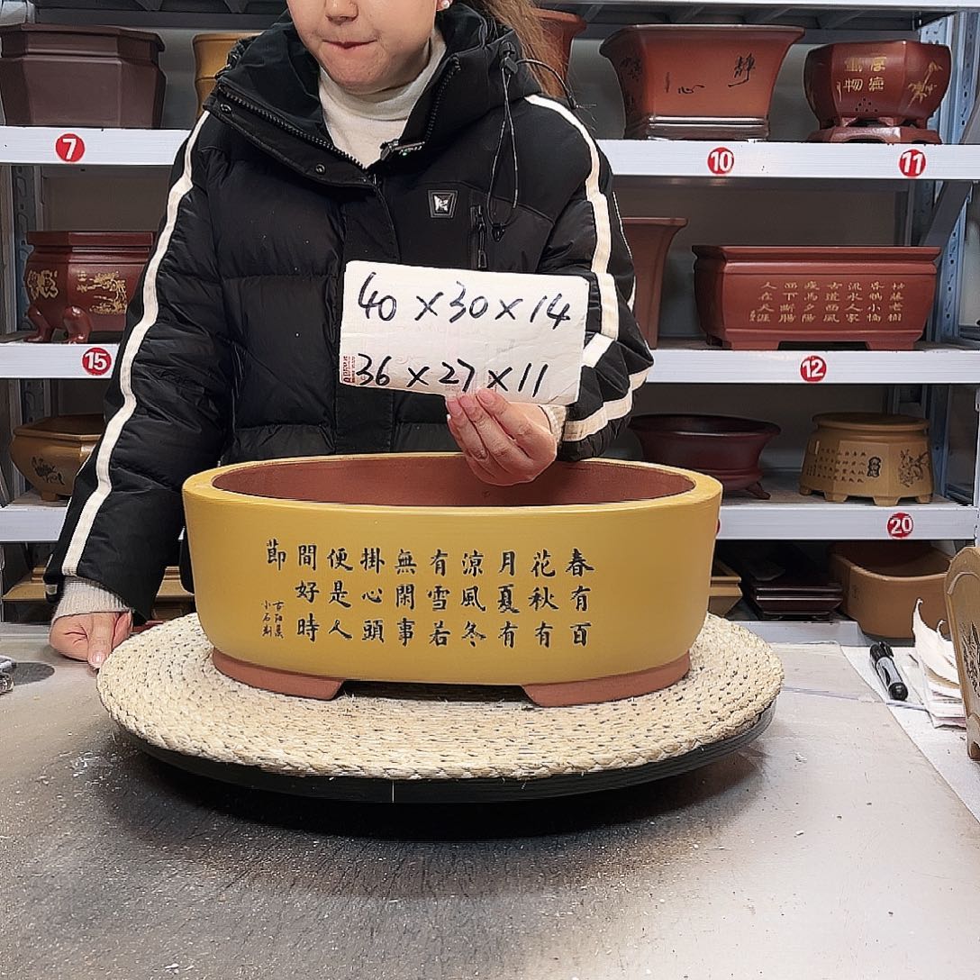 红泥花盆紫砂花盆中