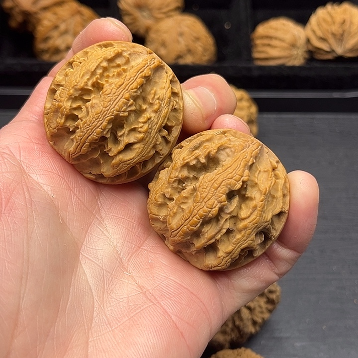 木质类秦岭突突突突突突突突