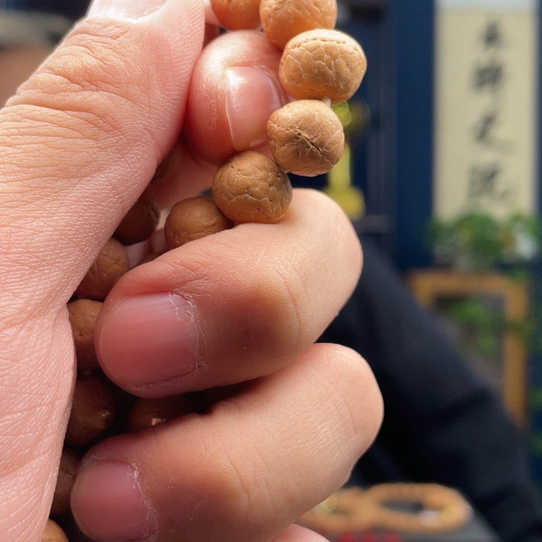 凤眼菩提吊坠༺****菩提6