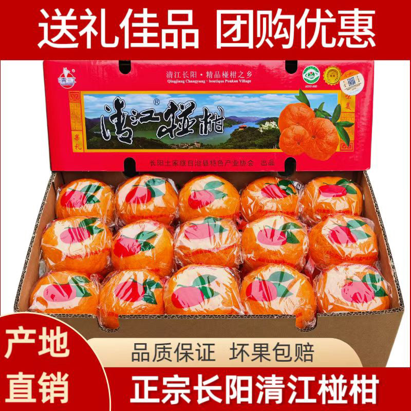 长阳清江椪柑岩松坪碰柑橘桔子超特级礼盒装湖北宜昌土特产