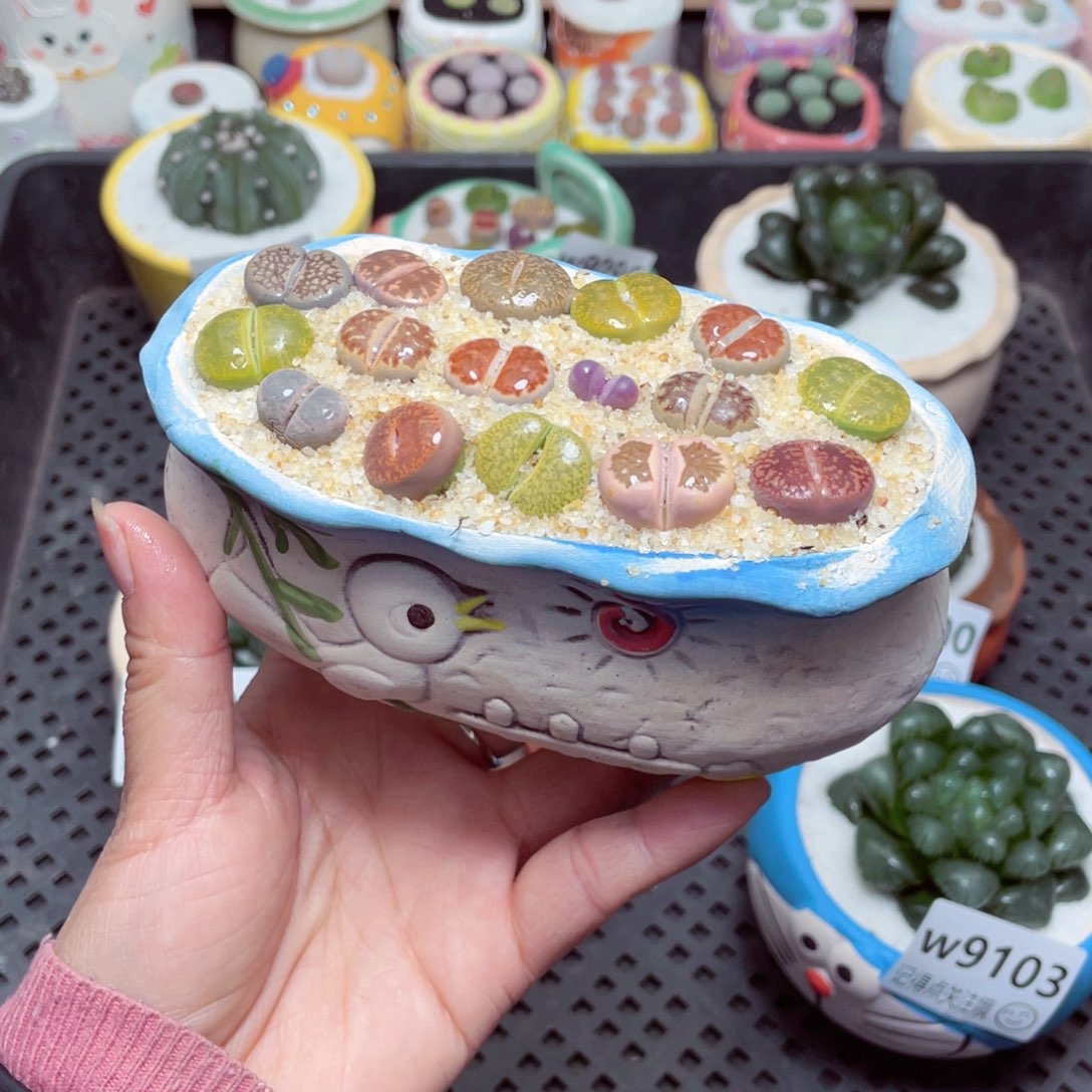 w9104 零下地区拍保温箱-15支持寄养