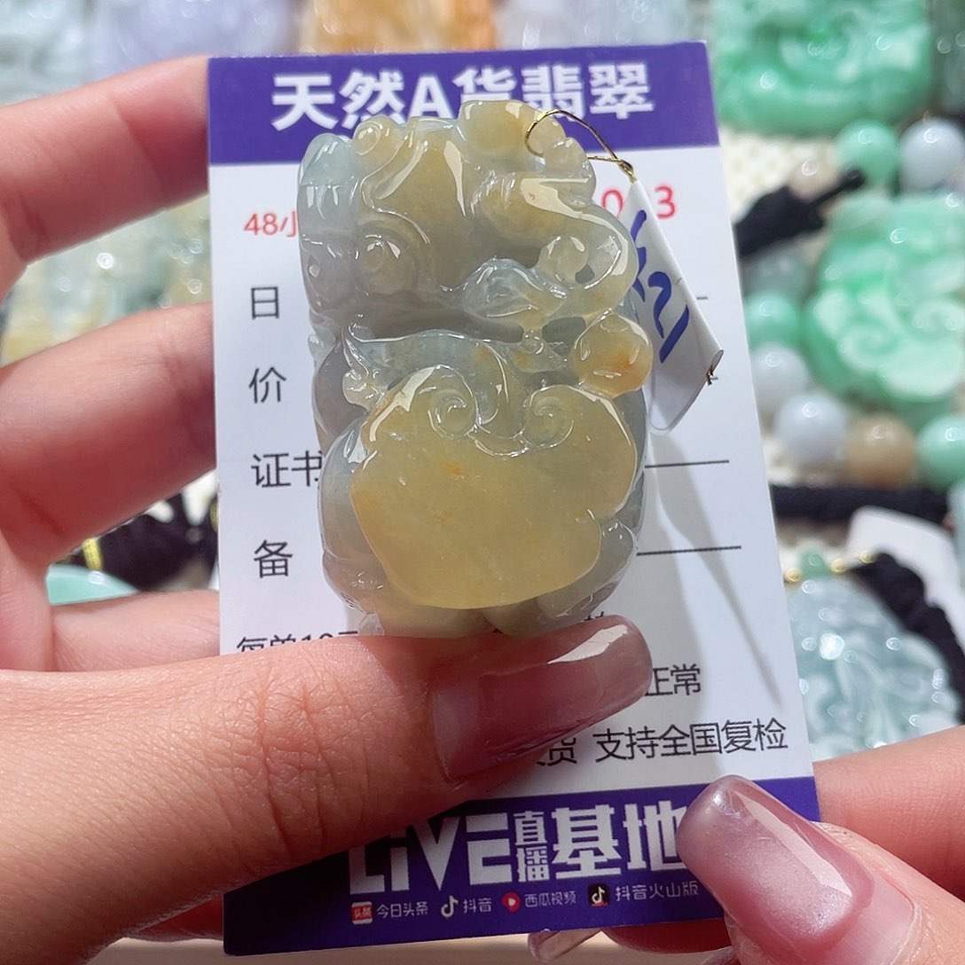 颈饰未镶嵌翡翠貔貅