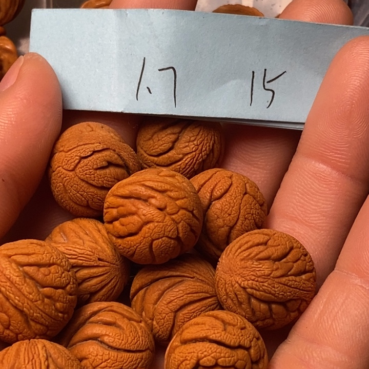 吊坠桃核陕西秦岭山桃核