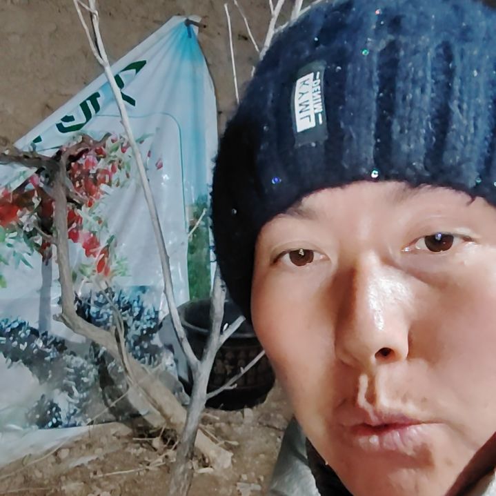 优***事完全开放文冠树一颗