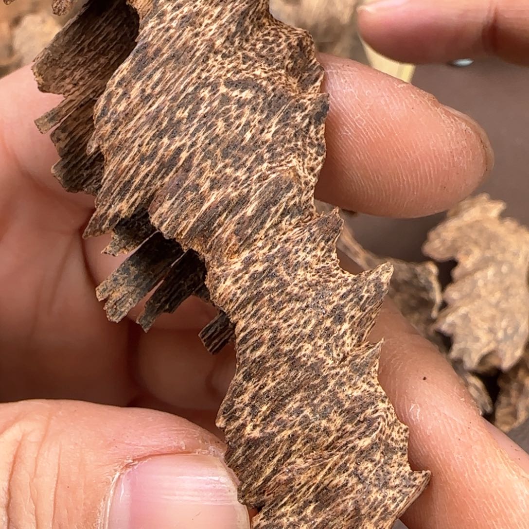 沉香摆件越南芽庄沉水料4.5克