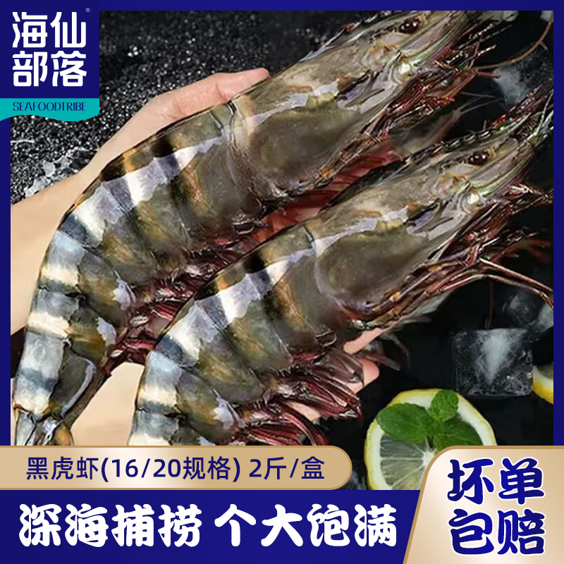 新鲜活冻黑虎虾（16-20规格）超大号虎虾斑节虾深海捕捞 2斤/盒
