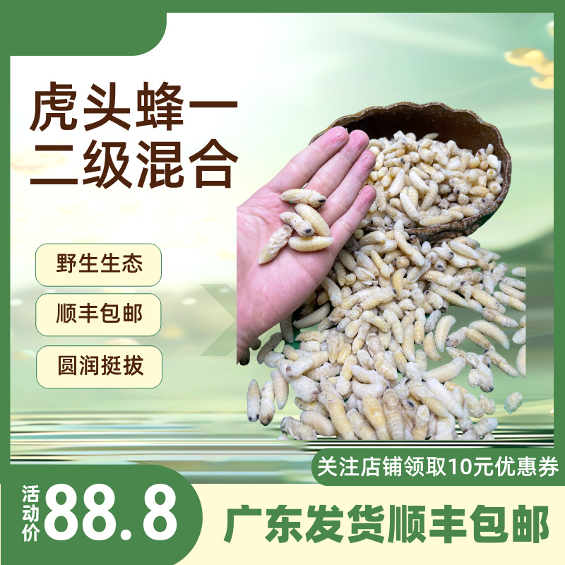 一二级金环虎头蜂蛹500克黄土夹高蛋白野生马蜂广东发货
