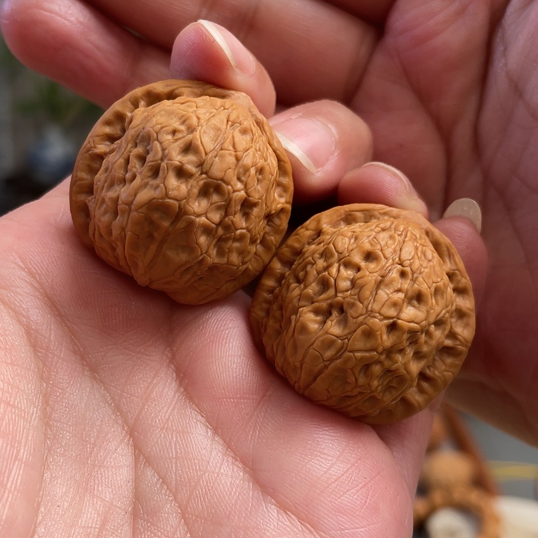 桃核把件32×30尺全品野生夜明珠CN01463已打底