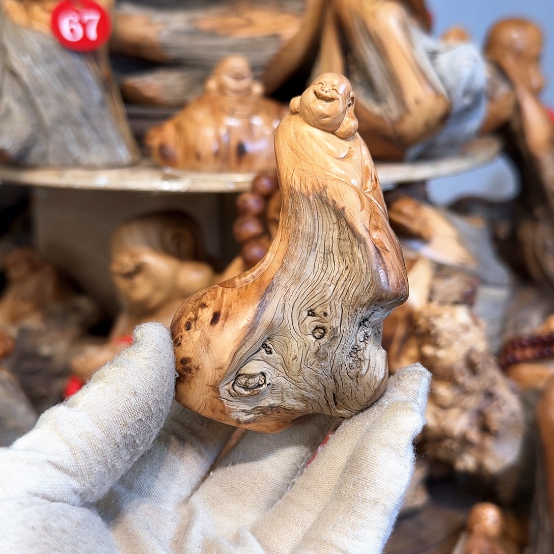 柏木（崖柏）666666666