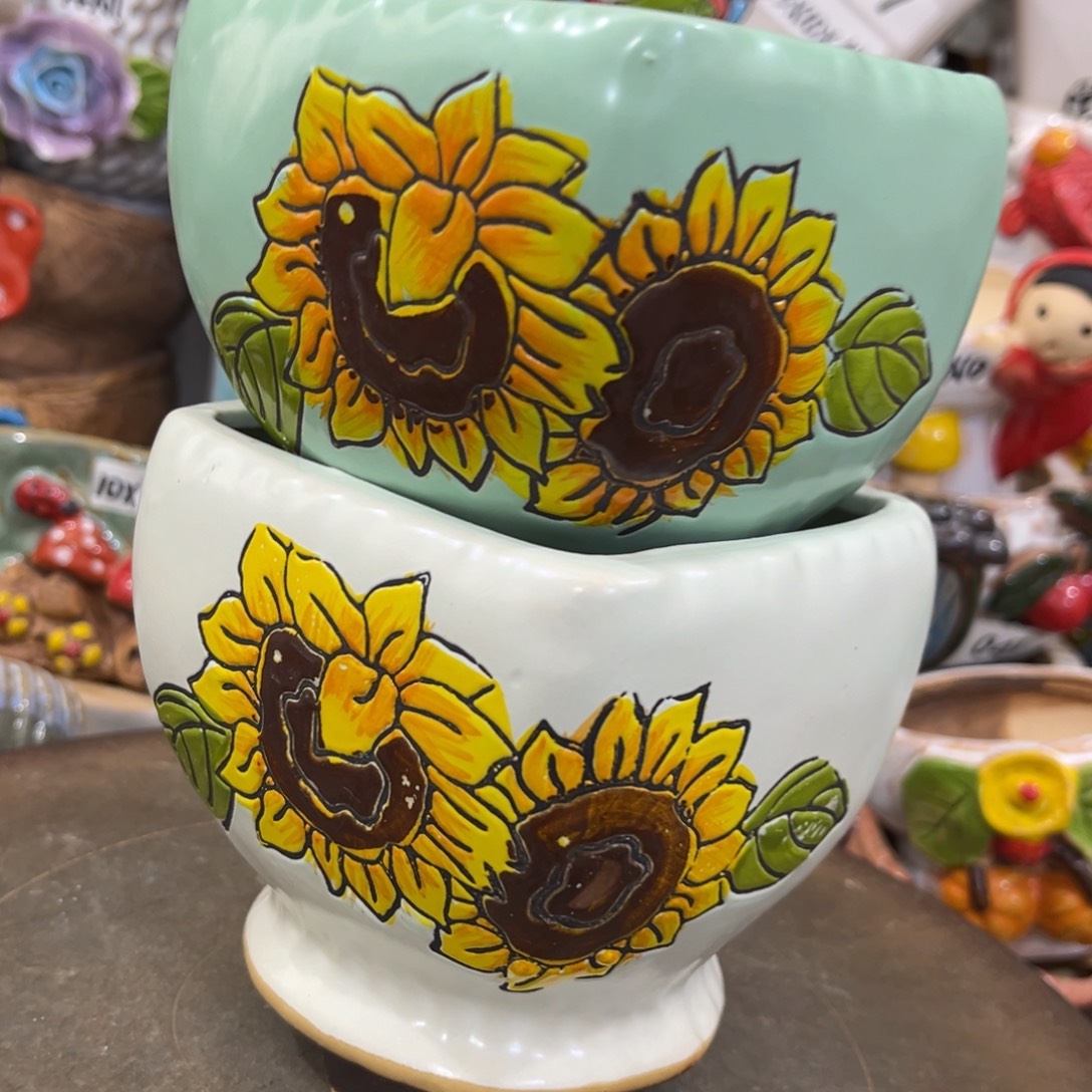 凑满15包邮发货发货