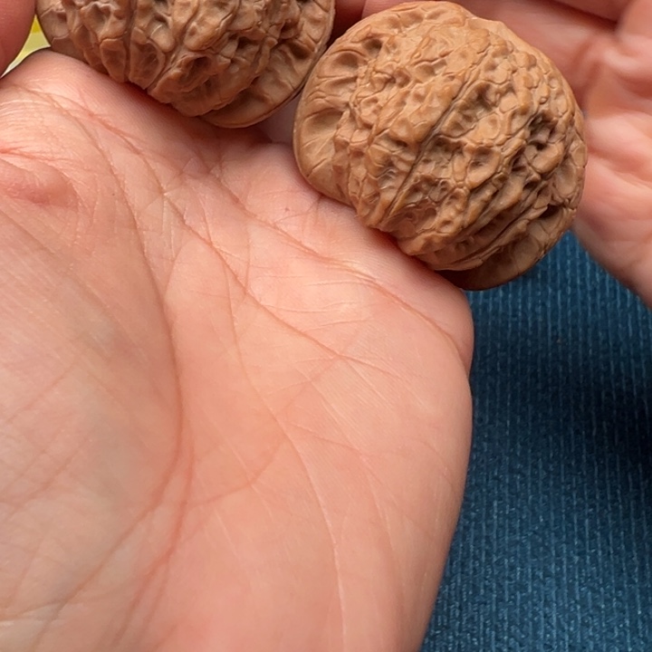 桃核吊坠文玩雪麒麟53