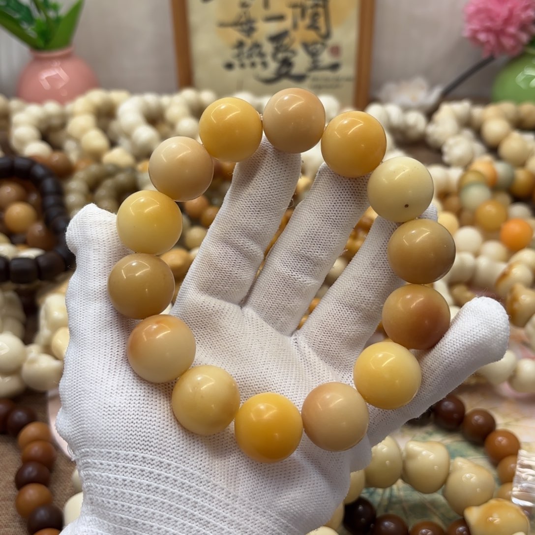 菩提根/象牙果吊坠20干磨瑕疵落地果185