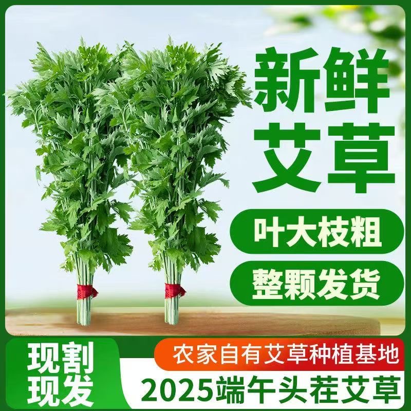 伏牛山新鲜艾草端午节挂门窗装饰驱蚊泡澡净化空气