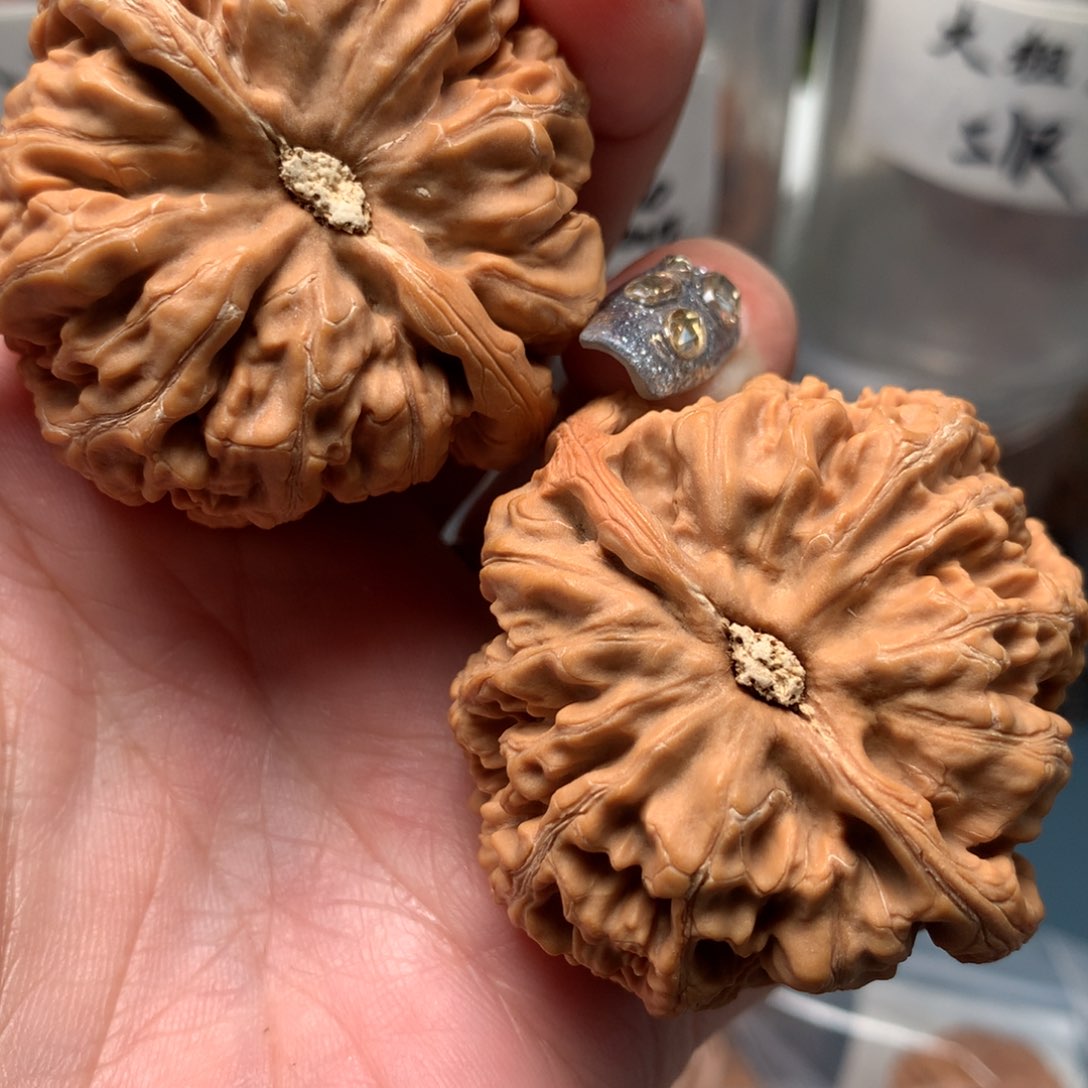 文玩核桃把件朴**哥45-13575-1