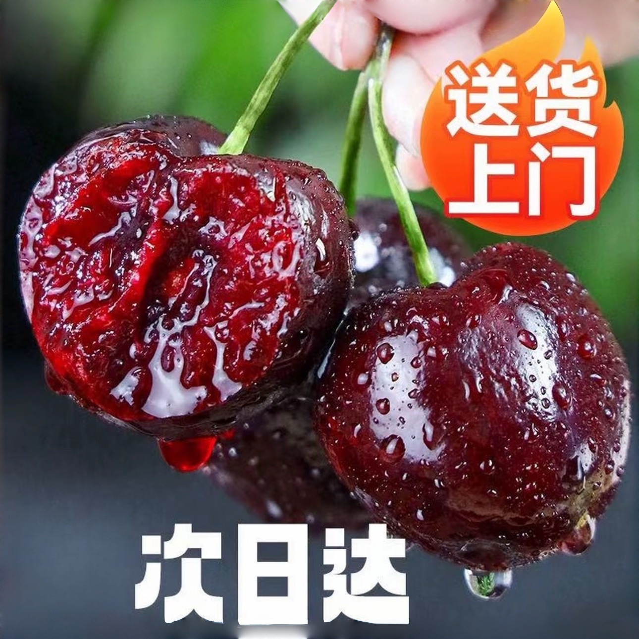 智利空运新鲜车厘子2JD-5JD净重5斤原箱（内附果径卡）桑提娜樱桃智利共和国