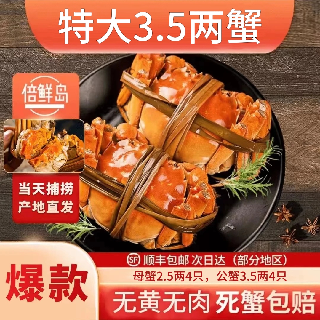 【活蟹现发】江苏兴化大闸蟹3.5两公蟹/2.5两母蟹共8只装礼品盒