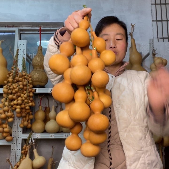 燕****天然植物葫芦文玩