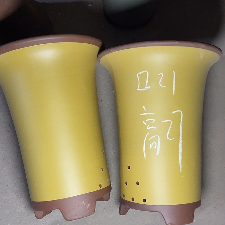 红陶紫砂紫砂紫砂