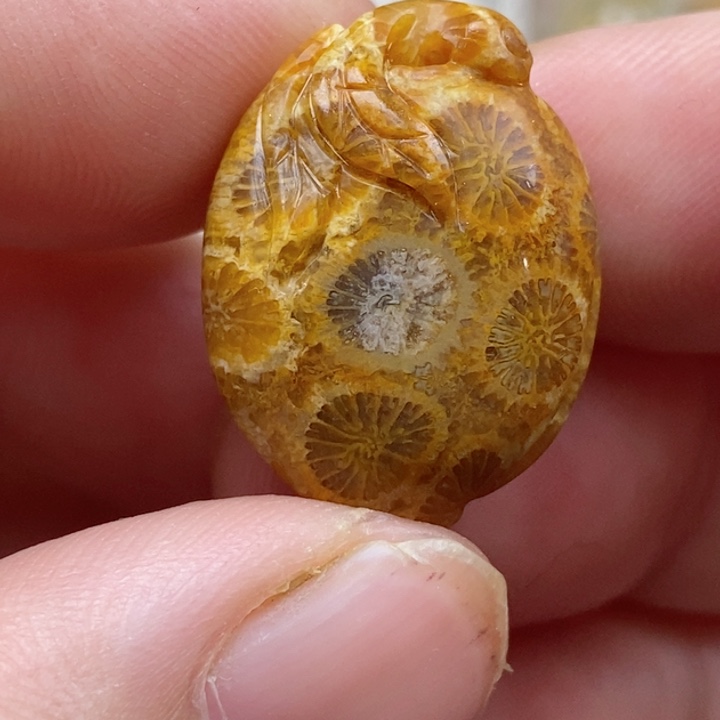 颈饰未镶嵌硅化珊瑚（珊瑚玉）小