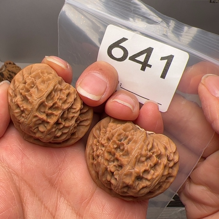 核桃全品宫灯39尺641