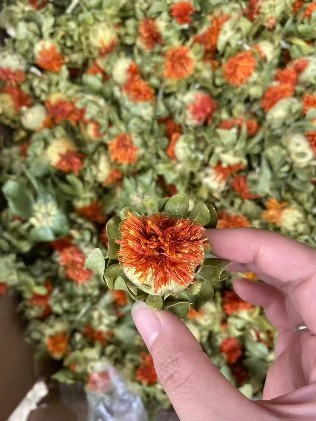 大山好货【帝王花】自然晒干优选品质