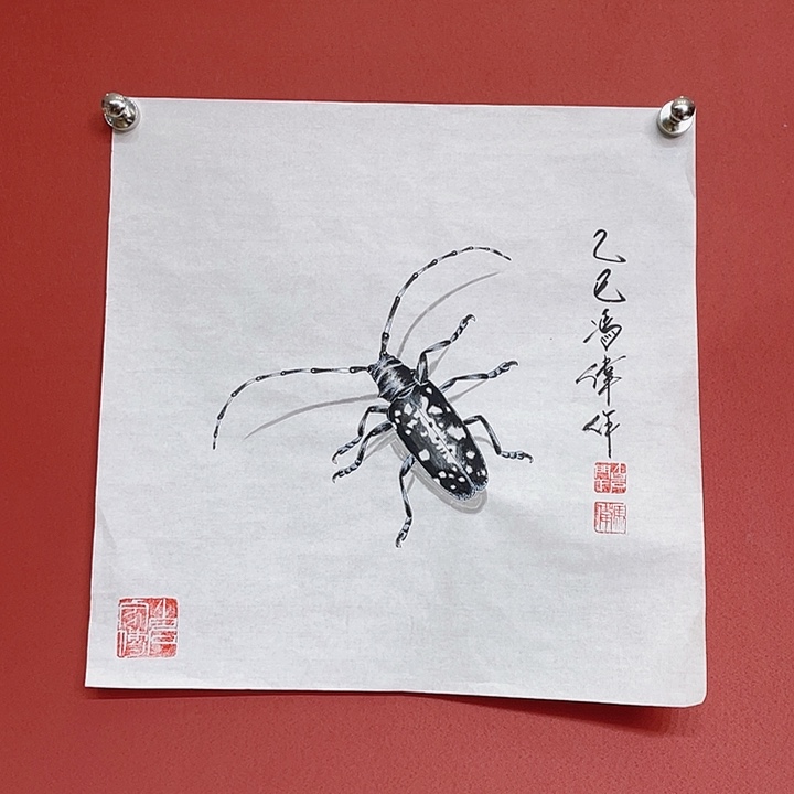 国画冯老师手绘作品