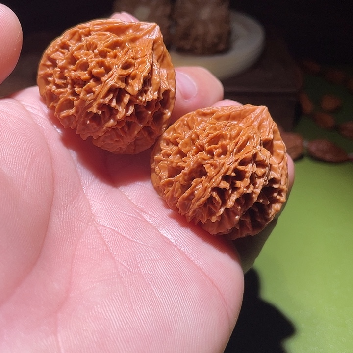 橄榄核手串/手链39.3龙葵