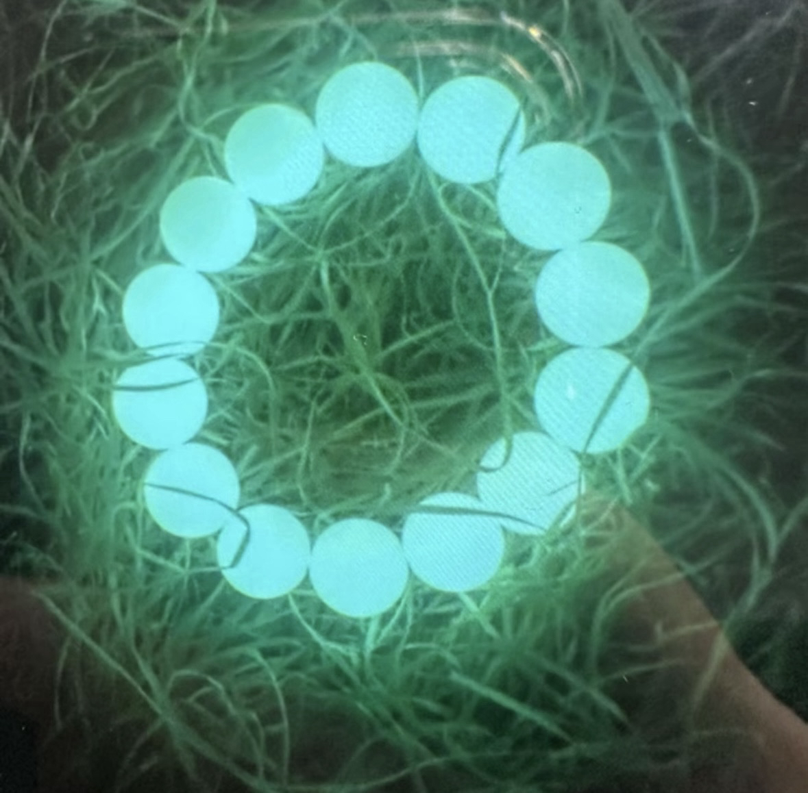 YMZ0530宫廷夜明珠手串