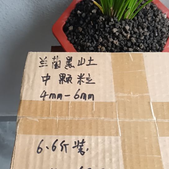 真***恒兰菌黑山土中颗粒6.6斤