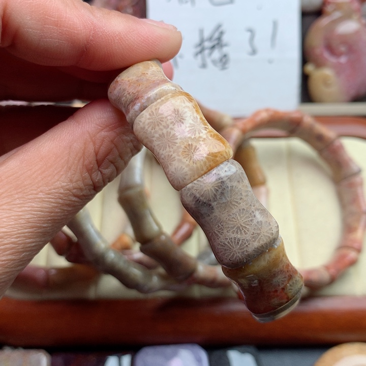 硅化珊瑚（珊瑚玉）颈饰未镶嵌