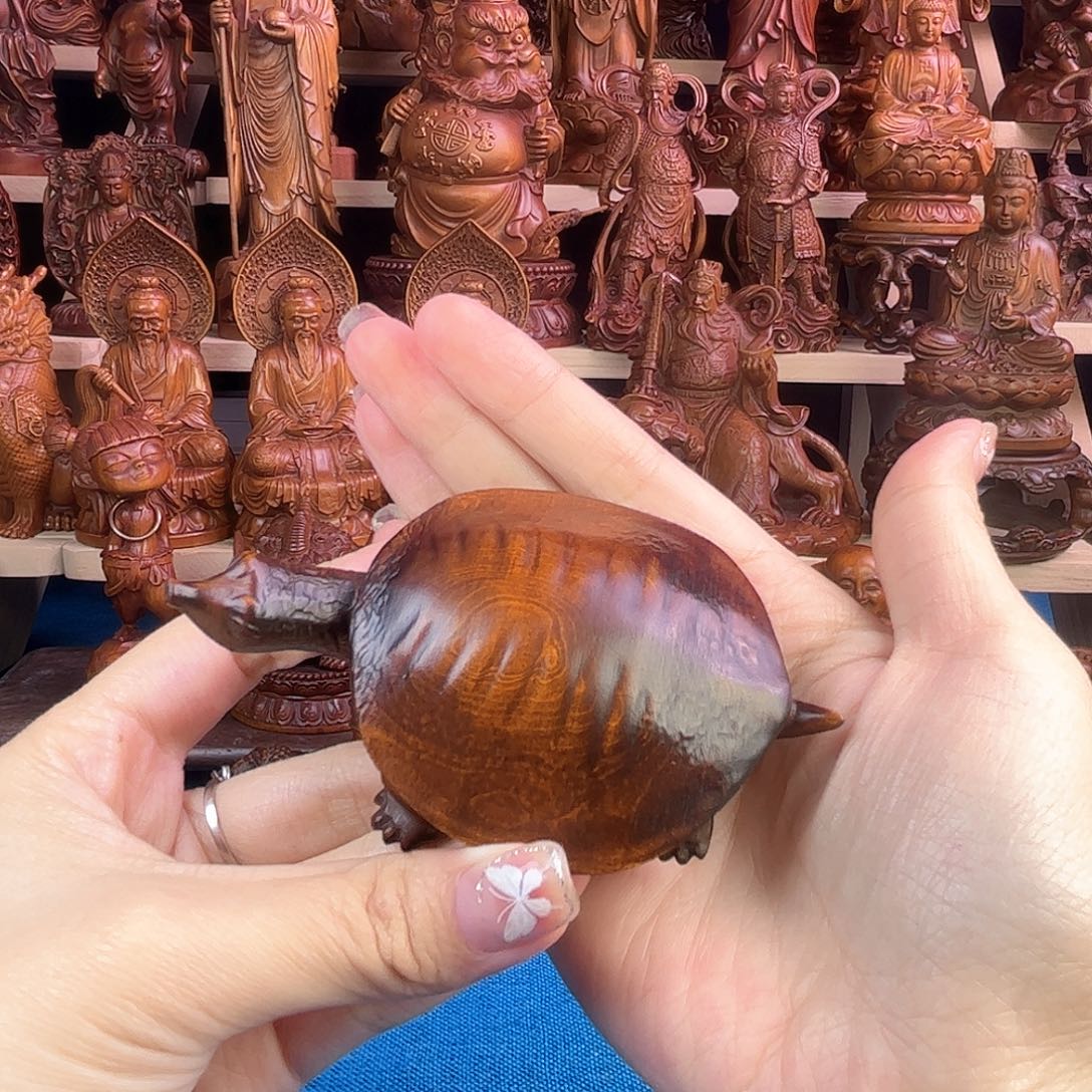 黄杨木小叶黄杨木