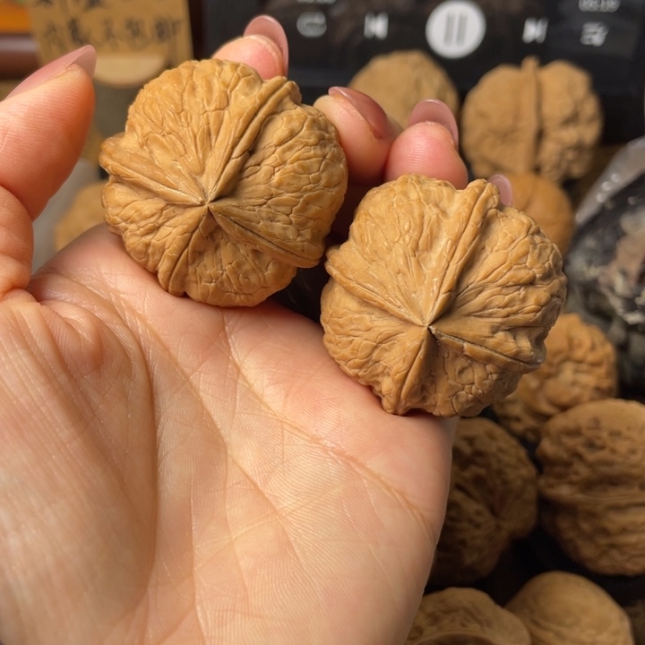 小***了如图所示一物一拍102