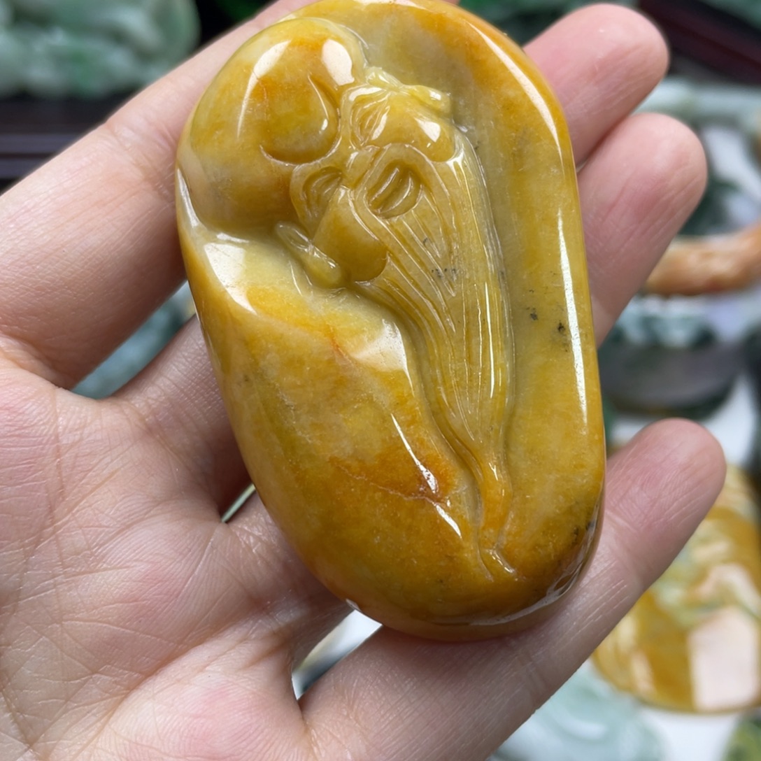 翡翠未镶嵌颈饰牌子