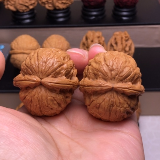 文玩核桃把件金龟玉甲10