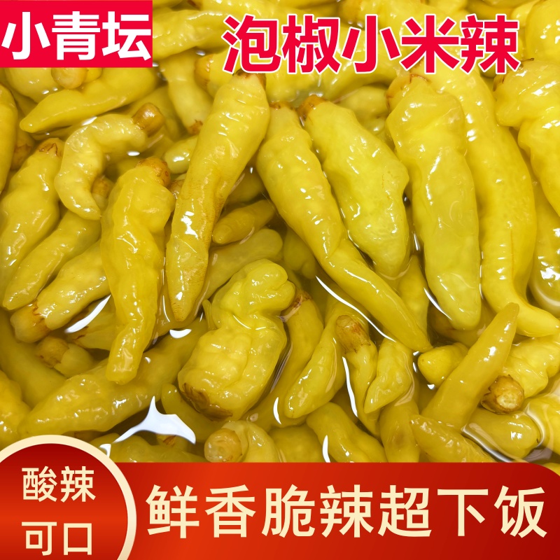 小青坛泡椒小米辣酸辣椒腌辣椒特辣凤爪鸡爪调味料开胃泡菜即食