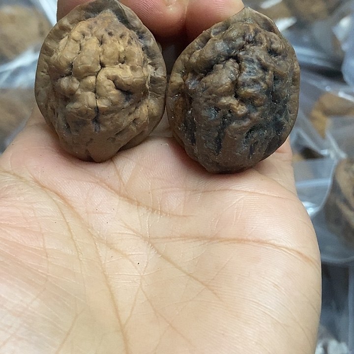 把件文玩核桃云南铁核桃基地19